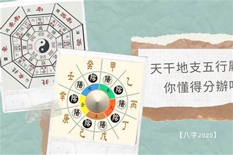 喜神是火|喜用神为火和木：命理风水与数字改运法